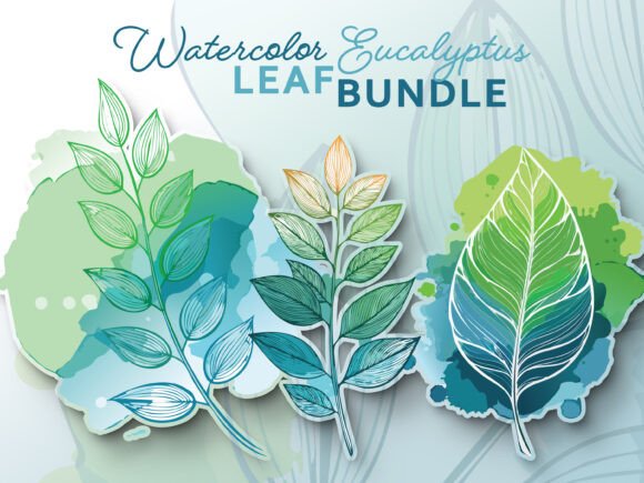 Watercolor Eucalyptus Leaf Bundle: Graphics & Decorative Elements